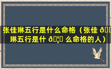 张佳琳五行是什么命格（张佳 🌺 琳五行是什 🦄 么命格的人）